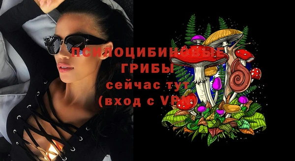 спиды Елизово