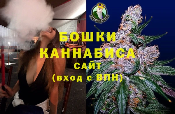 индика Кострома