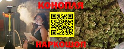 прущие крисы Гай