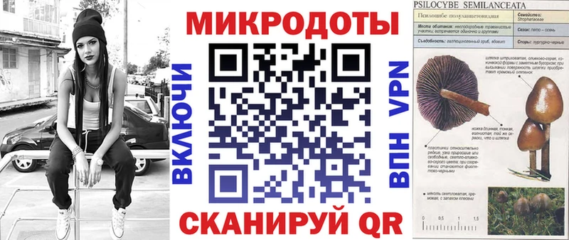 гидра ONION  магазин продажи наркотиков  Апатиты  Галлюциногенные грибы Magic Shrooms 