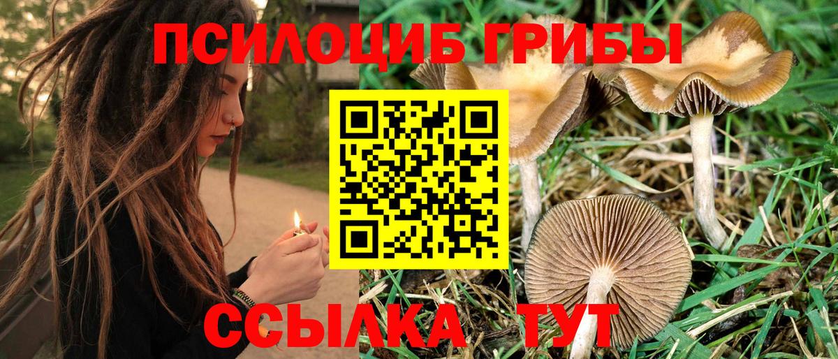 Псилоцибиновые грибы GOLDEN TEACHER  Вход с VPN  купить закладку  Псилоцибиновые грибы MAGIC MUSHROOMS  Апатиты 
