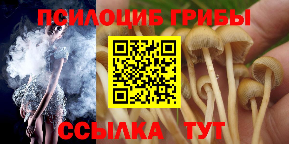 Апатиты  Галлюциногенные грибы мицелий  купить наркотики цена  Вход с VPN 