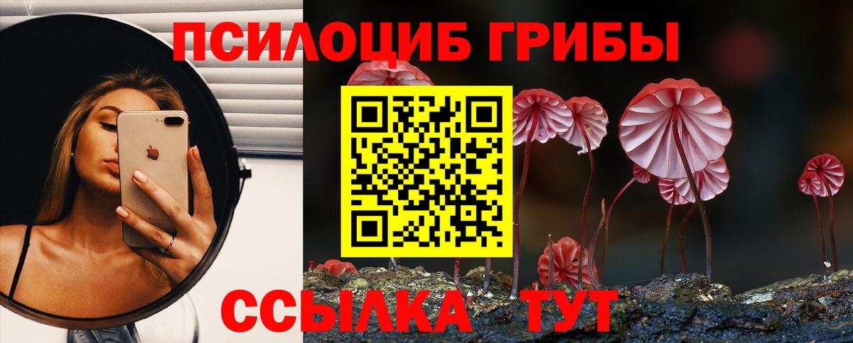 Галлюциногенные грибы мухоморы Апатиты