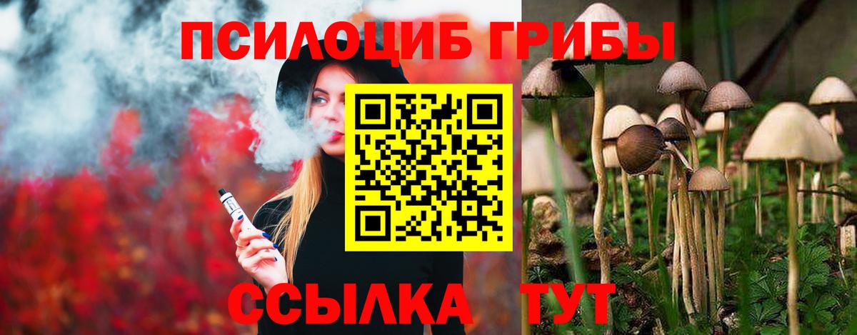 как найти закладки  Апатиты  Галлюциногенные грибы MAGIC MUSHROOMS 